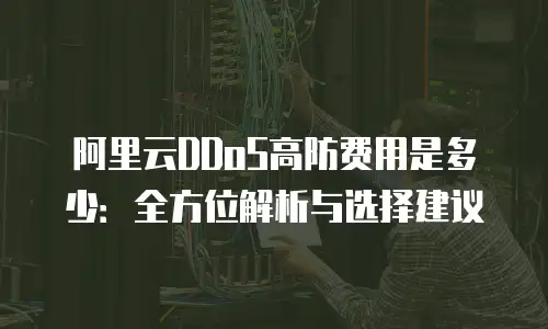阿里云DDoS高防费用是多少：全方位解析与选择建议