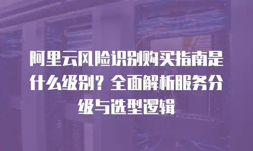 阿里云风险识别购买指南是什么级别？全面解析服务分级与选型逻辑