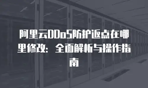 阿里云DDoS防护返点在哪里修改：全面解析与操作指南