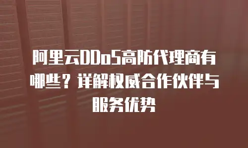 阿里云DDoS高防代理商有哪些？详解权威合作伙伴与服务优势