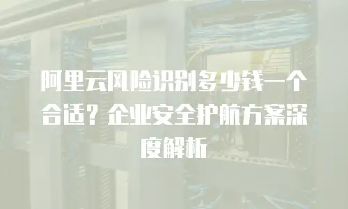 阿里云风险识别多少钱一个合适？企业安全护航方案深度解析