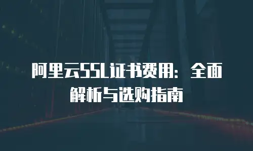 阿里云SSL证书费用：全面解析与选购指南