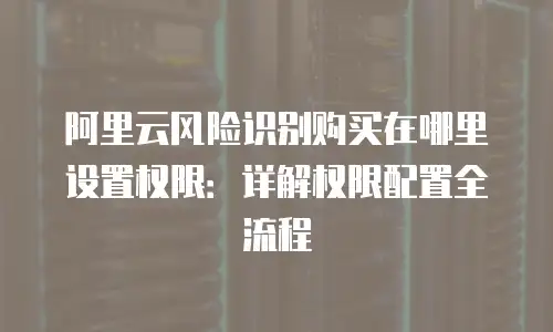 阿里云风险识别购买在哪里设置权限：详解权限配置全流程
