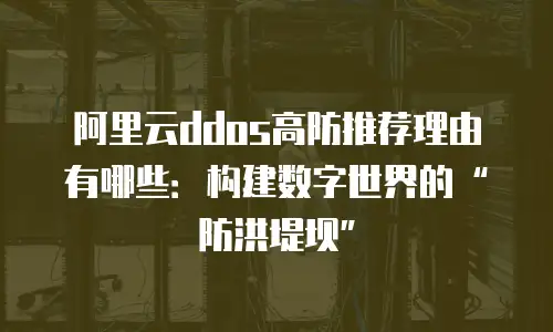 阿里云ddos高防推荐理由有哪些：构建数字世界的“防洪堤坝”