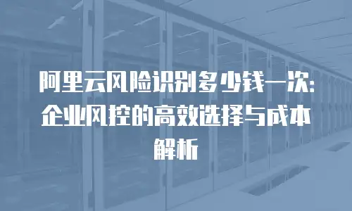 阿里云风险识别多少钱一次：企业风控的高效选择与成本解析