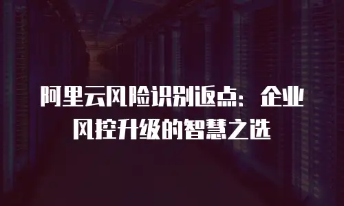 阿里云风险识别返点：企业风控升级的智慧之选