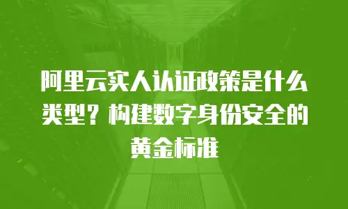 阿里云实人认证政策是什么类型？构建数字身份安全的黄金标准