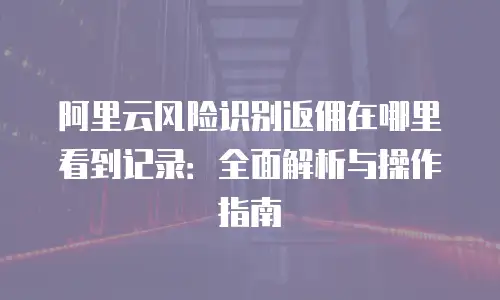 阿里云风险识别返佣在哪里看到记录：全面解析与操作指南
