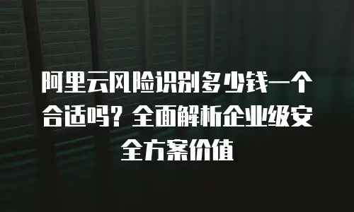 阿里云风险识别多少钱一个合适吗？全面解析企业级安全方案价值