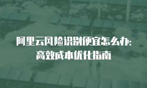 阿里云风险识别便宜怎么办：高效成本优化指南