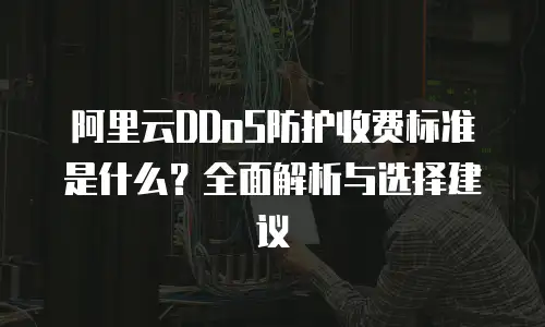 阿里云DDoS防护收费标准是什么？全面解析与选择建议