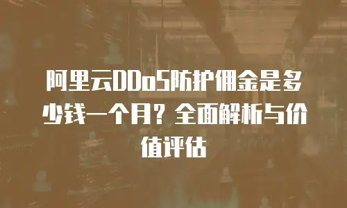 阿里云DDoS防护佣金是多少钱一个月？全面解析与价值评估