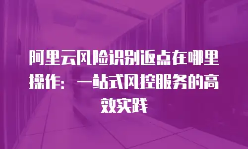 阿里云风险识别返点在哪里操作：一站式风控服务的高效实践