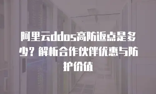 阿里云ddos高防返点是多少？解析合作伙伴优惠与防护价值