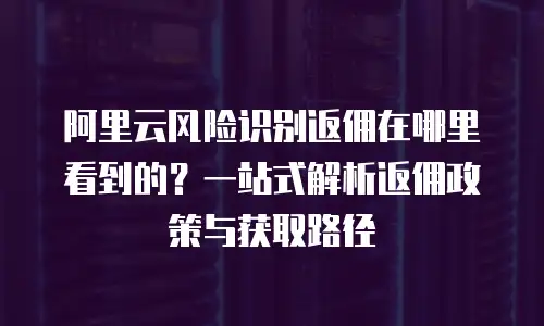 阿里云风险识别返佣在哪里看到的？一站式解析返佣政策与获取路径