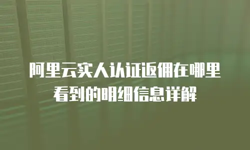 阿里云实人认证返佣在哪里看到的明细信息详解