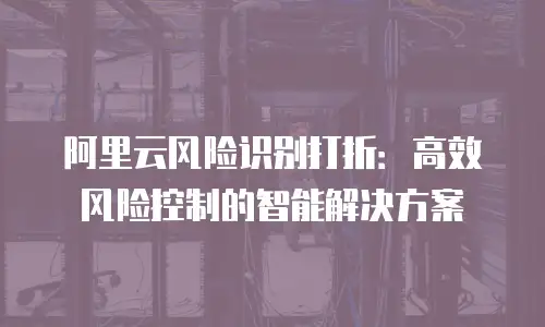 阿里云风险识别打折：高效风险控制的智能解决方案