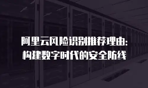 阿里云风险识别推荐理由：构建数字时代的安全防线