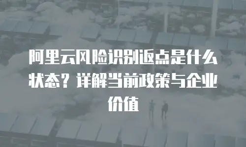 阿里云风险识别返点是什么状态？详解当前政策与企业价值