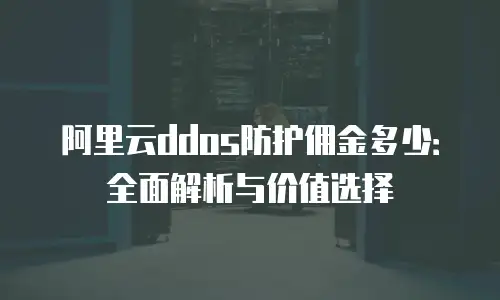 阿里云ddos防护佣金多少：全面解析与价值选择