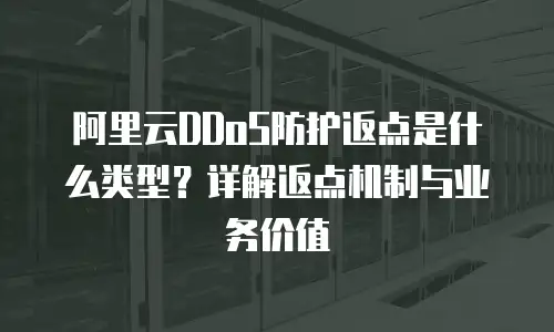 阿里云DDoS防护返点是什么类型？详解返点机制与业务价值