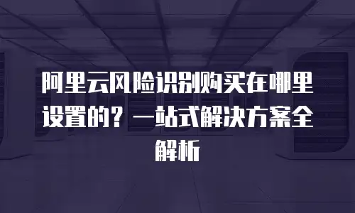 阿里云风险识别购买在哪里设置的？一站式解决方案全解析