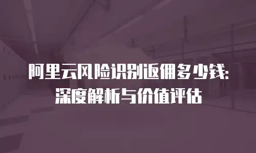 阿里云风险识别返佣多少钱：深度解析与价值评估