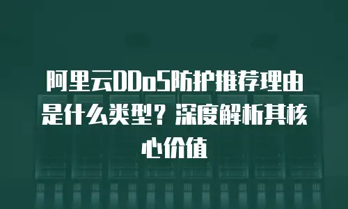 阿里云DDoS防护推荐理由是什么类型？深度解析其核心价值