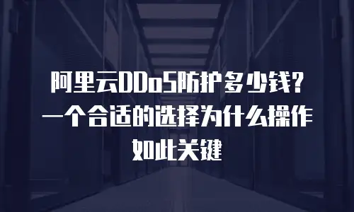 阿里云DDoS防护多少钱？一个合适的选择为什么操作如此关键
