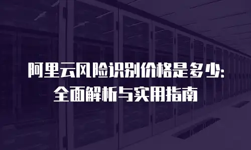 阿里云风险识别价格是多少：全面解析与实用指南