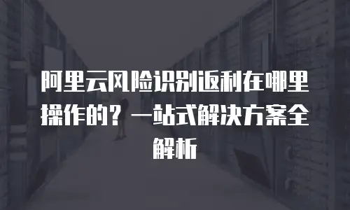 阿里云风险识别返利在哪里操作的？一站式解决方案全解析