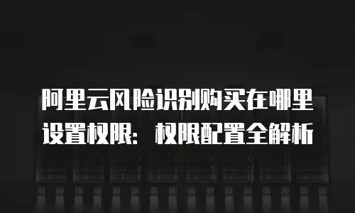 阿里云风险识别购买在哪里设置权限：权限配置全解析