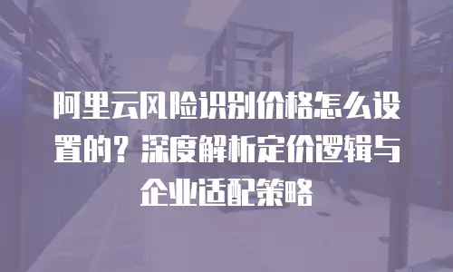 阿里云风险识别价格怎么设置的？深度解析定价逻辑与企业适配策略