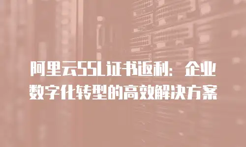 阿里云SSL证书返利：企业数字化转型的高效解决方案