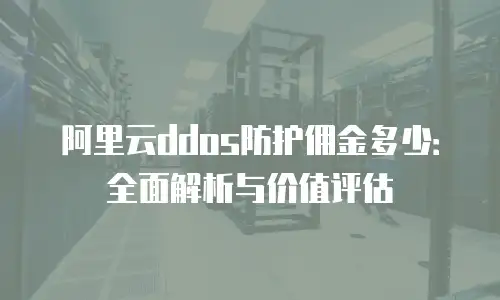阿里云ddos防护佣金多少：全面解析与价值评估