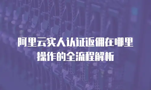 阿里云实人认证返佣在哪里操作的全流程解析