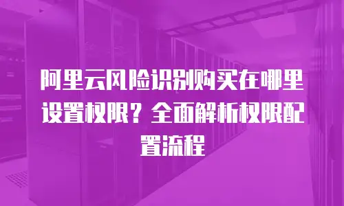 阿里云风险识别购买在哪里设置权限？全面解析权限配置流程