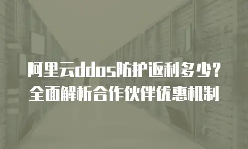 阿里云ddos防护返利多少？全面解析合作伙伴优惠机制