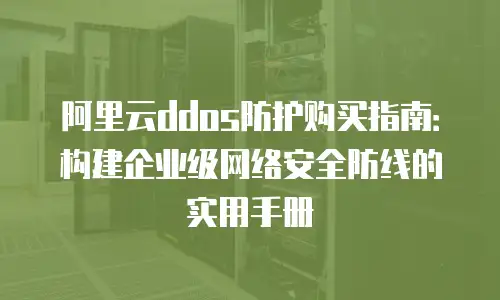 阿里云ddos防护购买指南：构建企业级网络安全防线的实用手册