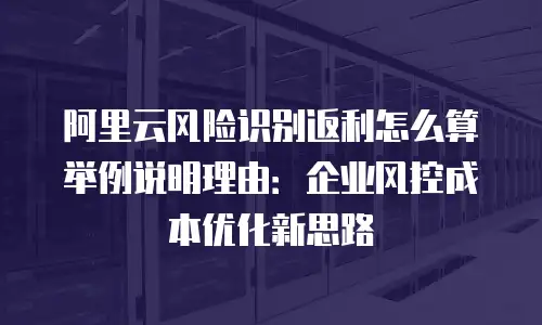 阿里云风险识别返利怎么算举例说明理由：企业风控成本优化新思路
