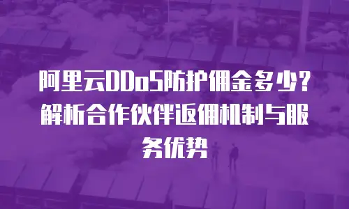 阿里云DDoS防护佣金多少？解析合作伙伴返佣机制与服务优势