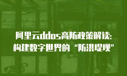 阿里云ddos高防政策解读：构建数字世界的“防洪堤坝”