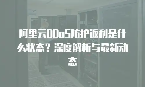 阿里云DDoS防护返利是什么状态？深度解析与最新动态