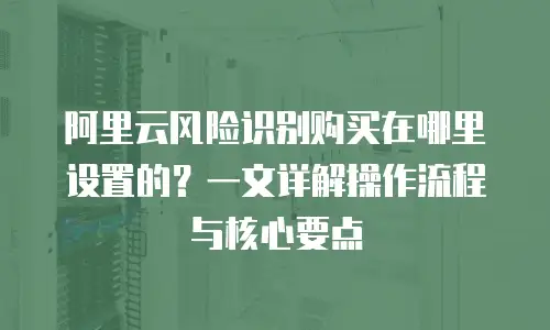 阿里云风险识别购买在哪里设置的？一文详解操作流程与核心要点