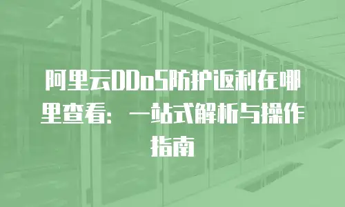 阿里云DDoS防护返利在哪里查看：一站式解析与操作指南