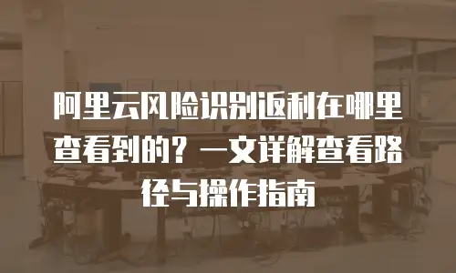阿里云风险识别返利在哪里查看到的？一文详解查看路径与操作指南