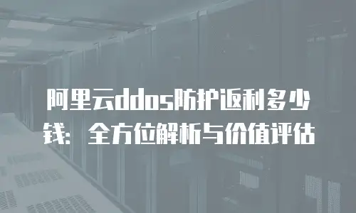阿里云ddos防护返利多少钱：全方位解析与价值评估