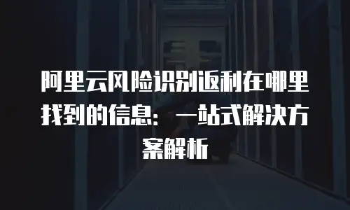 阿里云风险识别返利在哪里找到的信息：一站式解决方案解析