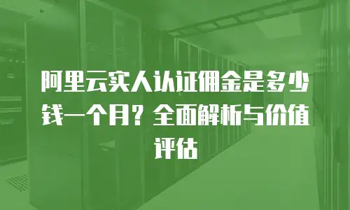 阿里云实人认证佣金是多少钱一个月？全面解析与价值评估