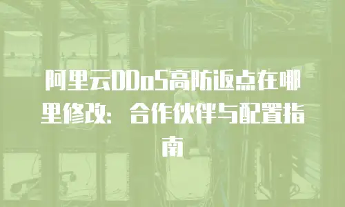 阿里云DDoS高防返点在哪里修改：合作伙伴与配置指南
